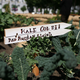 Illustration for article titled Theres a Kale Shortage! Or Not.